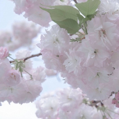 云霄FurryQQ群介绍